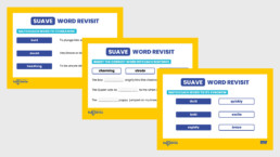 Suave Word Revisit 3 Activity sheets